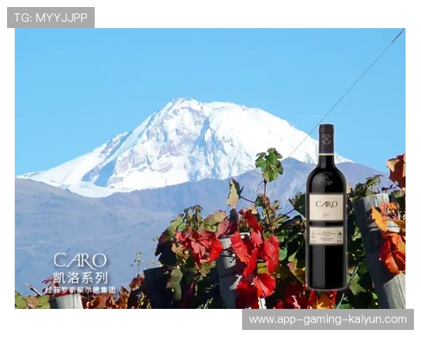 波尔多携手地方合作，开启训练与康复新时代